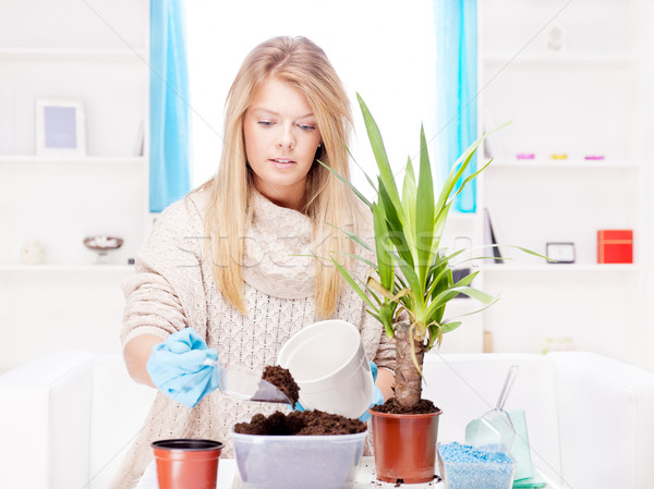 Stock photo: woman transplant plant in a bigger pot