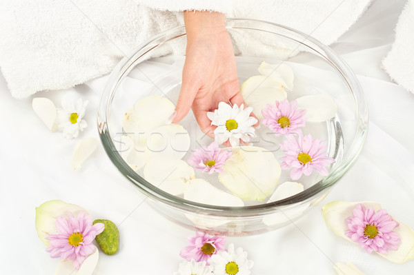 Soothing petal bath Stock photo © imarin
