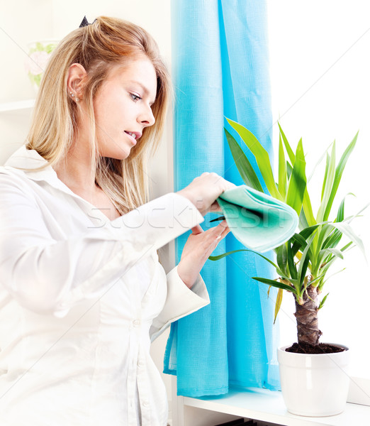 Kobieta czyste pozostawia domu blond kwiat Zdjęcia stock © imarin