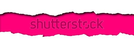 Zerrissenes Papier rosa Raum Text isoliert weiß Stock foto © impresja26