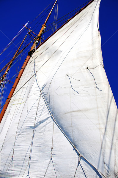 white sails of yachts and blue sky Stock photo © inaquim