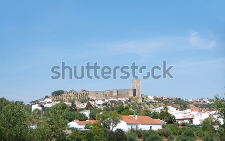 Street of Arraiolos village Stock photo © inaquim