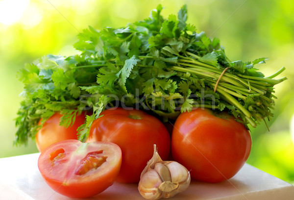 Tomato, garlic and green cilantro. Stock photo © inaquim