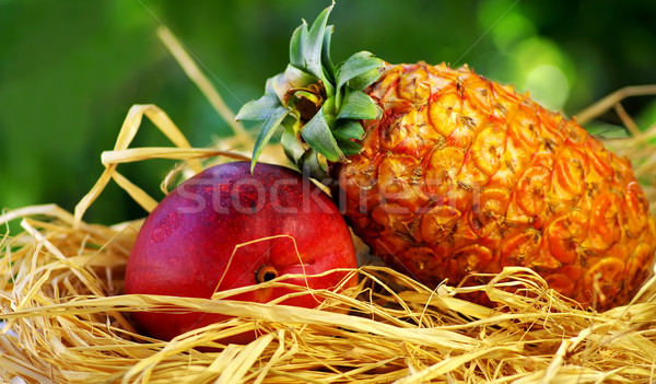 Stok fotoğraf: Tropikal · meyve · ananas · mango · gıda