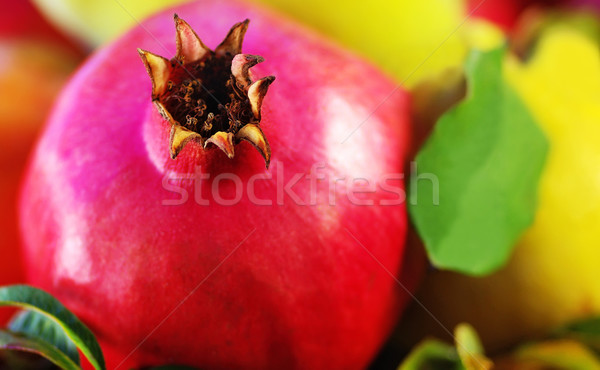 гранат продовольствие лист фрукты зеленый цвета Сток-фото © inaquim
