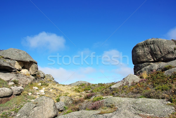 National Park of Peneda Geres, Portugal. Stock photo © inaquim