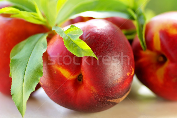 fresh peach fruits with green leaves  Stock photo © inaquim