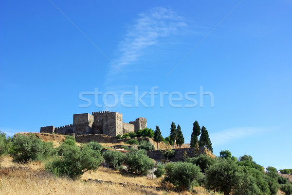 Castle of Monsaraz village, alentejo, Portugal.  Stock photo © inaquim