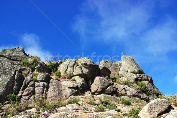 	National Park of Peneda Geres, Portugal Stock photo © inaquim