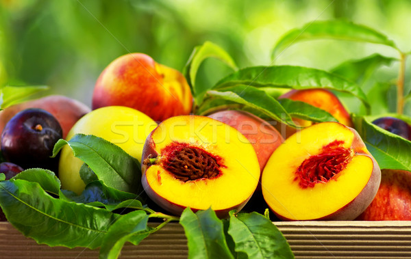Peach on basket of various fruits Stock photo © inaquim