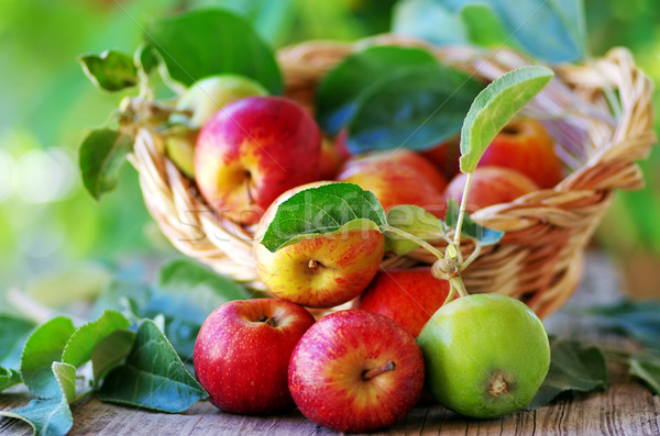 Foto stock: Cesta · maçãs · tabela · árvore · fundo · verão