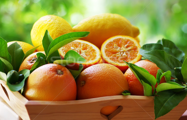 Stock photo: ripe oranges group in a basket on green background