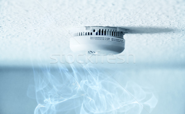 Fum detector tavan mic câmp text Imagine de stoc © IngaNielsen