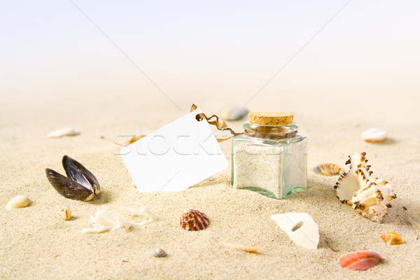 Carta spiaggia biglietto d'auguri mare shell bianco Foto d'archivio © IngaNielsen