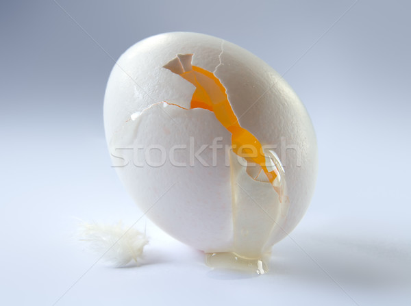 White egg Stock photo © IngaNielsen