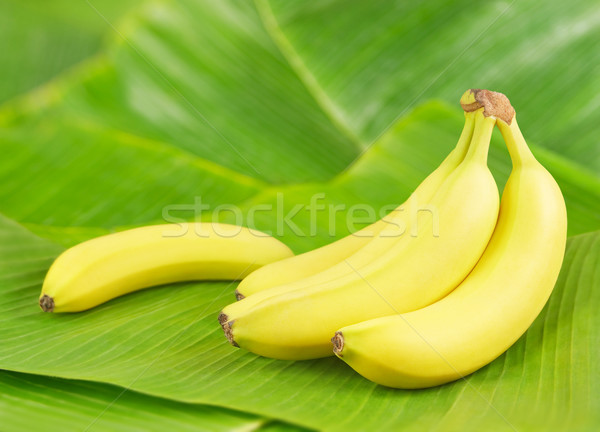 Banane foglie fresche banana alimentare foglia Foto d'archivio © IngaNielsen