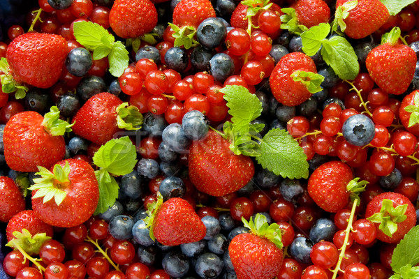 Stock foto: Beeren · Hintergrund · farbenreich · Erdbeeren · rot · Johannisbeere