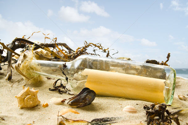 Mensagem garrafa praia papel mar concha Foto stock © IngaNielsen