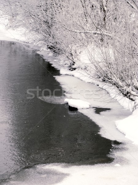 Alberi acqua foresta natura neve sfondo Foto d'archivio © inoj