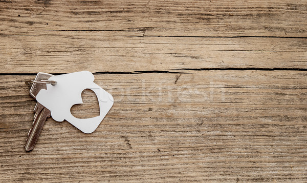 key with label home Stock photo © inxti