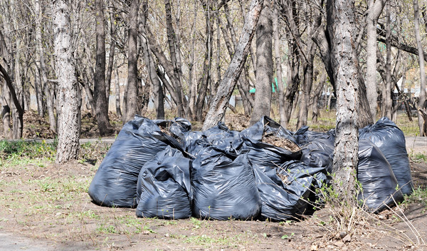 Many black garbage bags at curb Stock photo © inxti