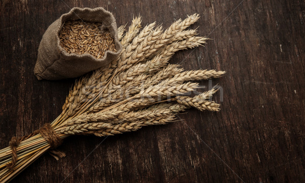 Bag full of wheat and wheat ears Stock photo © inxti