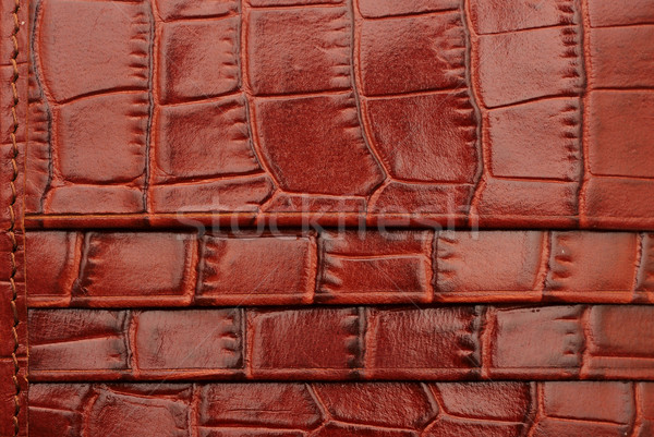 Leather  Stock photo © inxti