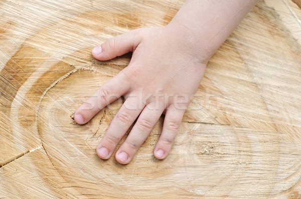 Foto stock: Mão · velho · família · madeira · corpo · fundo