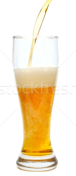 Bier glas witte alcohol koud Stockfoto © inxti