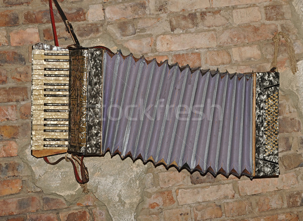 Decorative accordion on an old brick wall  Stock photo © inxti