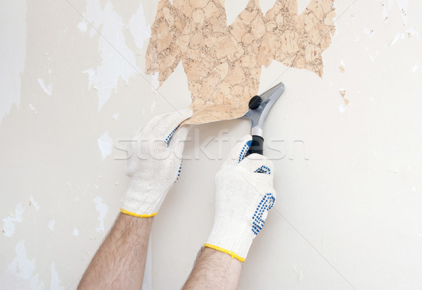 Hand removing wallpaper from wall  Stock photo © inxti