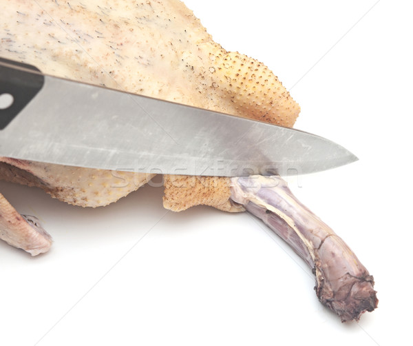Raw duck and knife on white Stock photo © inxti