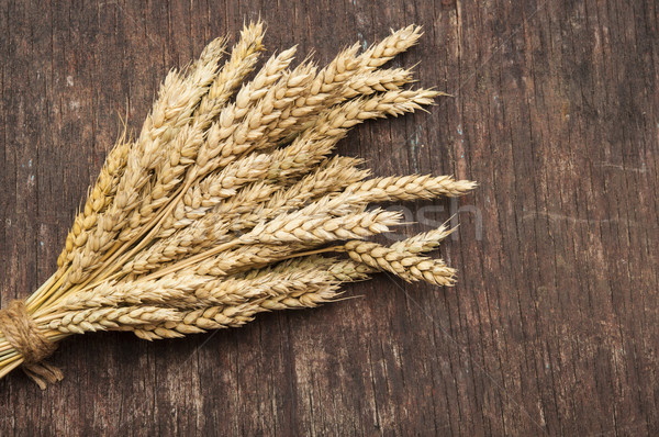 Copy space image of wheat rye ears on wooden background food and Stock photo © inxti