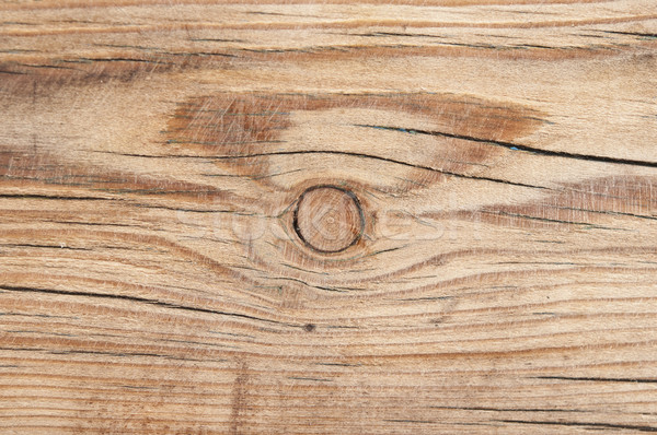 wooden pattern of knotted old board  Stock photo © inxti
