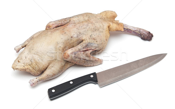Raw duck and knife isolated on white  Stock photo © inxti