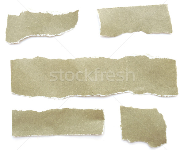 collection of grey ripped pieces of paper  Stock photo © inxti