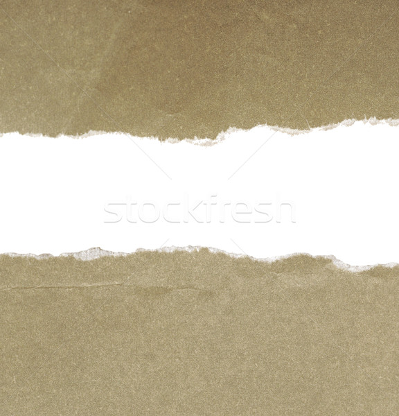 Papel rasgado gris cartón papel Foto stock © inxti