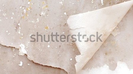 Old paper grunge with corner curl  Stock photo © inxti