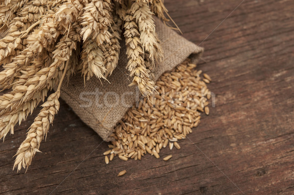 Bag full of wheat and wheat ears Stock photo © inxti