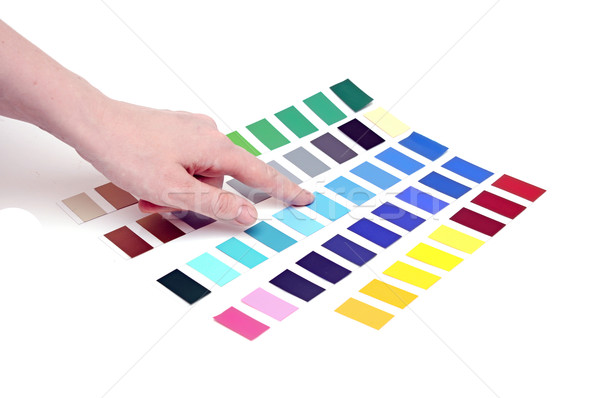 Choosing color from color scale Stock photo © inxti