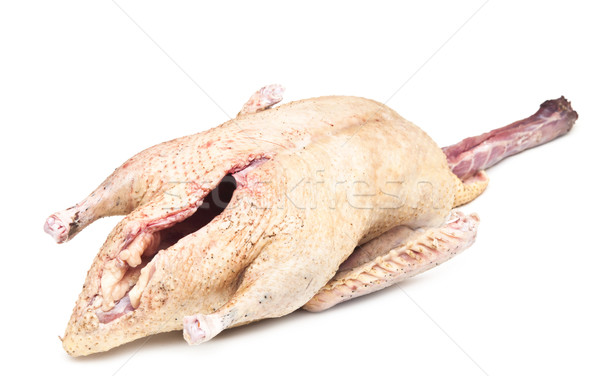 Raw duck isolated on white Stock photo © inxti