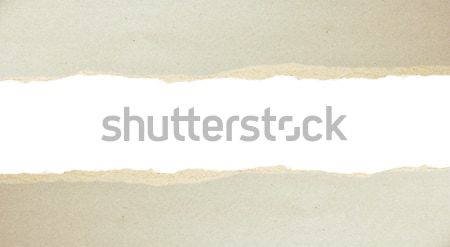Yırtık kağıt gri karton kâğıt Stok fotoğraf © inxti