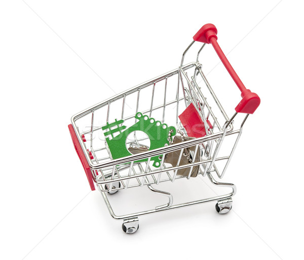 Key and house models in shopping cart on white background Stock photo © inxti