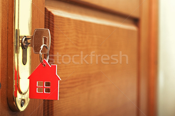 A key in a lock with house icon on i Stock photo © inxti