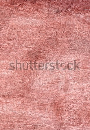 Wood texture for your background Stock photo © inxti