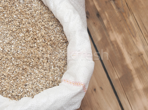 Barley beans. Grains of malt close-up. Food and agriculture conc Stock photo © inxti