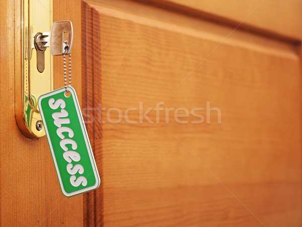 Kulcs siker üzlet ajtó vállalati pénzügyi Stock fotó © inxti