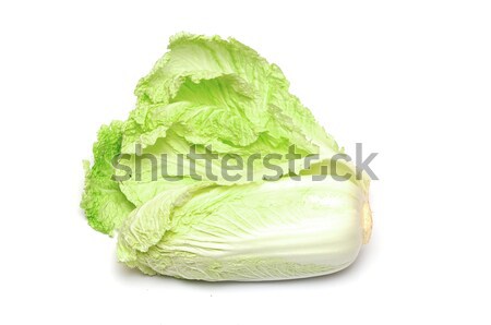 Chinese cabbage on white background  Stock photo © inxti
