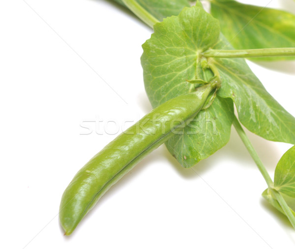 Stock photo: Fresh green peas