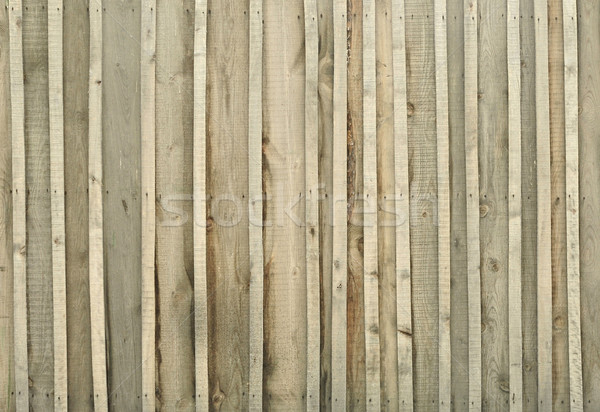 Vintage wood background  Stock photo © inxti